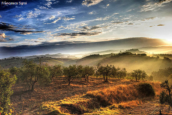 HDR Nature Photography