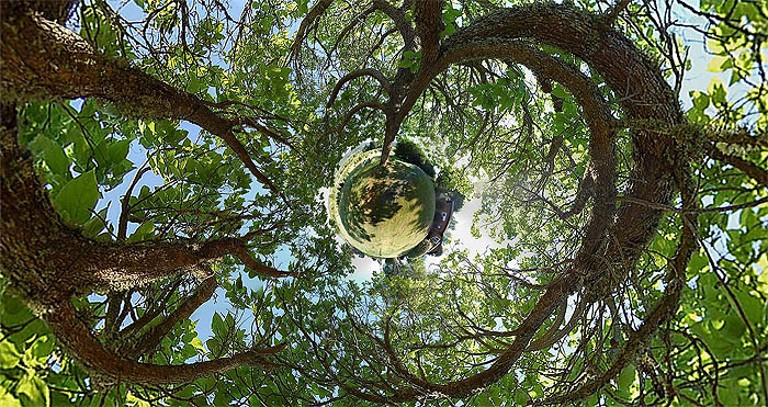 Little Planet Panorama