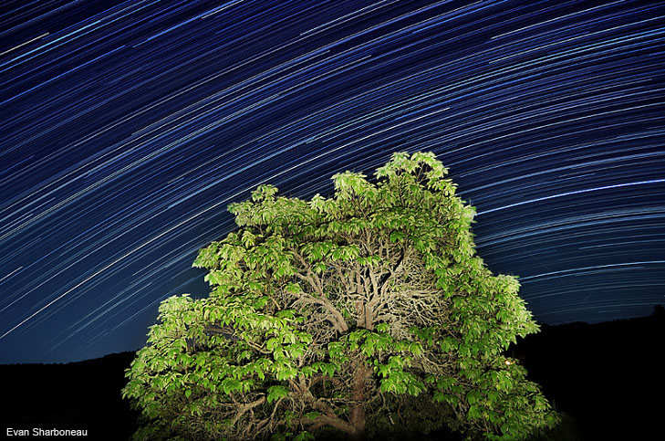 Star Trails Long Exposure Photography
